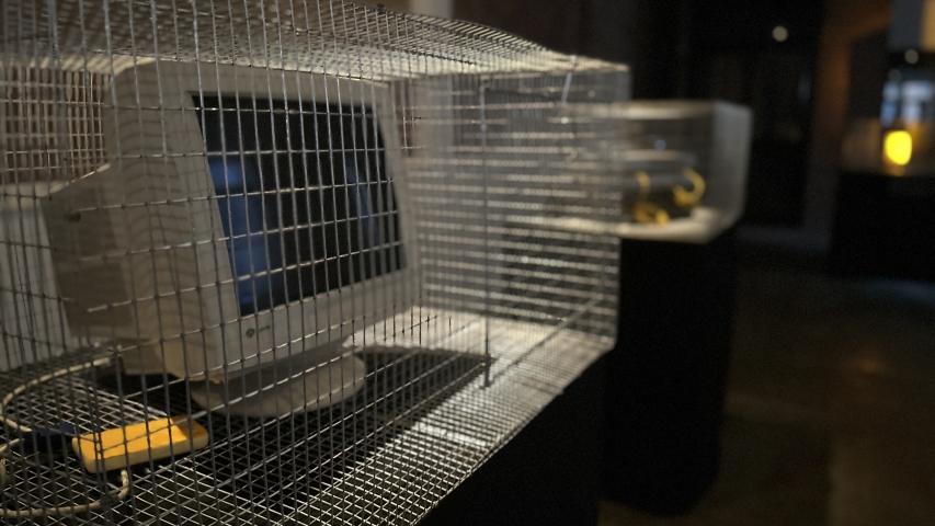 4THBIN MackTez BookLaunch 10